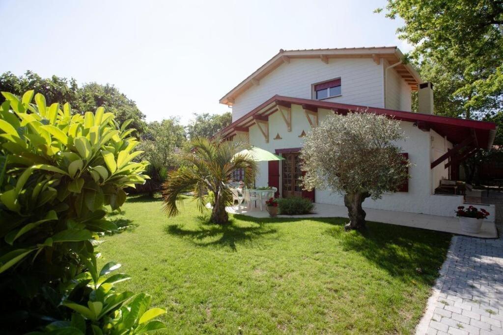 Villa Robert Shumann, A 700 M De La Plage Andernos-les-Bains Extérieur photo